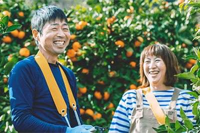 がまごおりじなる